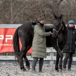 Petra Beránková při obsedání koně